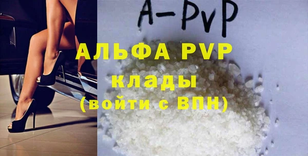стаф Кулебаки