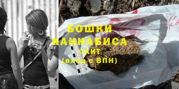 PSILOCYBIN Нягань