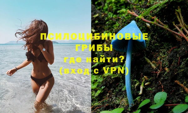 стаф Кулебаки