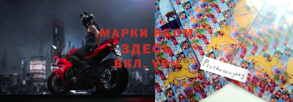 стаф Няндома