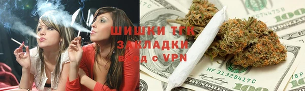 стаф Кулебаки